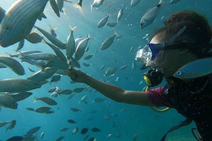 Scuba Diving Tour with Lunch in Alanya — Two-Point Mediterranean Dive Adventure photo 5
