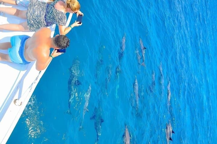 Hurghada Dolphin Reef Full-Day Snorkel & Boat Trip with Lunch