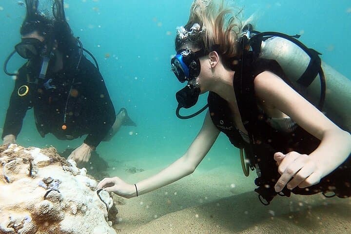 Beginner Scuba Diving in West Palm Beach — Shore Dive with Free Video photo 5