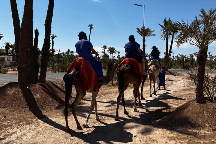 Marrakech Palmeraie Quad Biking Adventure: 3-Hour Guided Tour photo 4