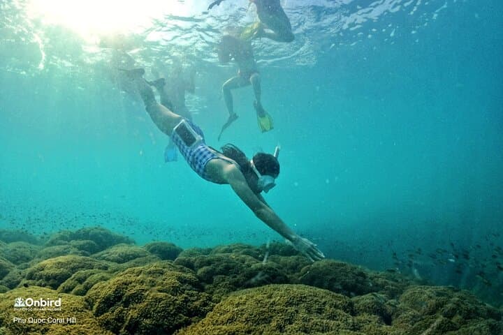 Private Snorkeling Adventure at Half-Moon Reef & Coral Mountain, Phu Quoc photo 3