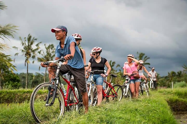 Bali Cycling & Ubud Full-Day: Kintamani Volcano, Rice Terraces & Monkey Forest