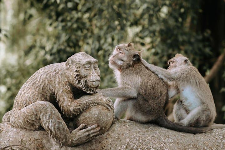 Discover Ubud: 2-Day Private Cultural and Nature Tour in Bali photo 3