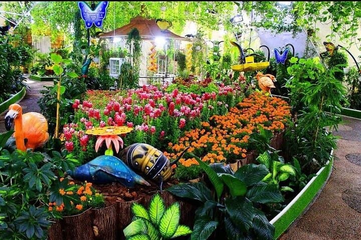 Dubai Butterfly Garden Guided Tour with Optional Transport photo 5