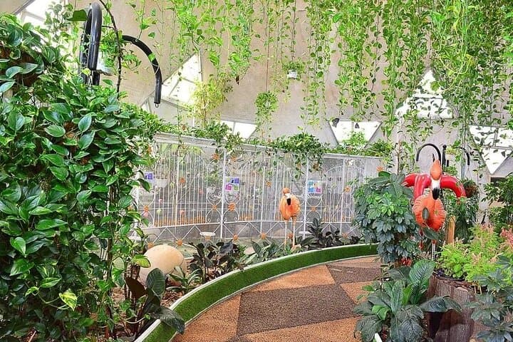Dubai Miracle Garden & Butterfly Garden: Tickets, Tips, and What to Expect photo 3