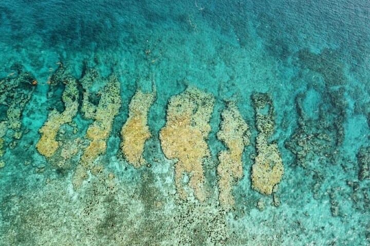 Key West Small-Group Snorkel Adventure: Two Reefs, Warm Water photo 3