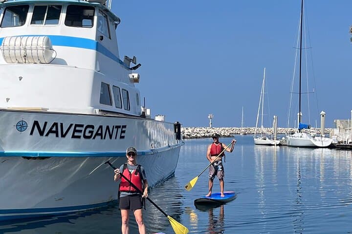 Redondo Beach Stand Up Paddle Board Rentals & Harbor SUP Experience photo 5