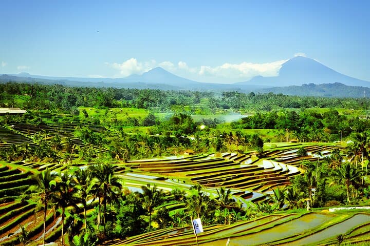 Private Bali Car Charter: Custom Full-Day Tours from Seminyak photo 3