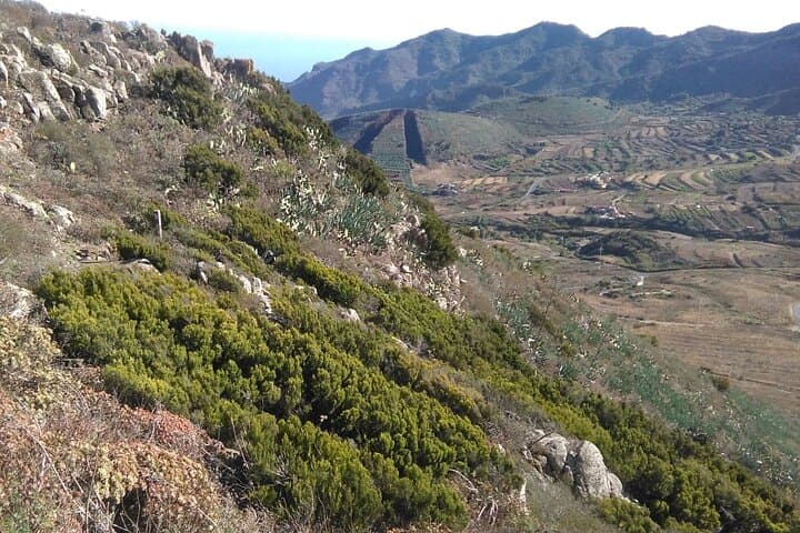 Teno Panorama Hike: 9 km Guided Route Through Tenerife's Rural Park photo 6