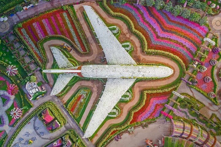 2-Day Private Tour: Dubai Miracle Garden & Global Village Experience photo 3