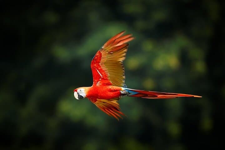 13-Day Ecuador Highlands and Amazon Rainforest Expedition