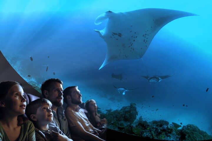 Immersed 360° Ocean Dome Experience on Catalina Island