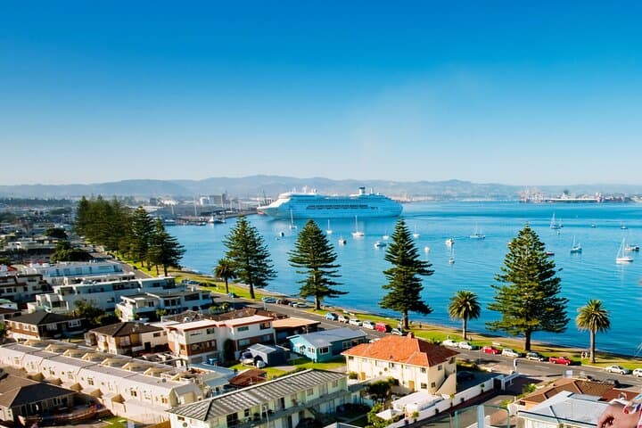 Half-Day Tauranga Shore Excursion — Mount Maunganui, Kiwifruit & Waterfalls photo 2