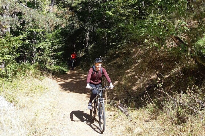 E‑Mountainbike Magic: Vienna Forests, Danube Rides & Heuriger Tastes