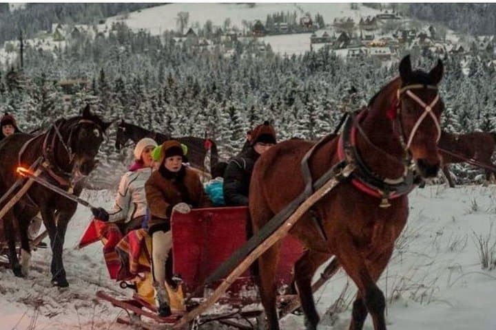 Zakopane Sleigh Ride in Chochołowska Valley: Winter Sleigh & Highland Feast photo 4