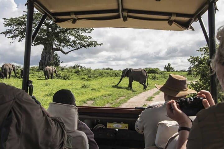 5-Day Masai Mara & Lake Nakuru Safari — Big Five, Flamingos and Lodge Stays photo 3
