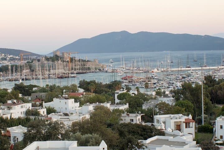 Private Bodrum City Tour from Cruise Port — Castle, Mausoleum & Windmills photo 1