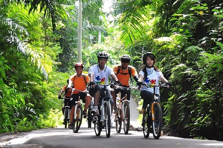 Bali Cycling and Ayung River Rafting: Kintamani Sunrise to Ayung Rapids photo 3