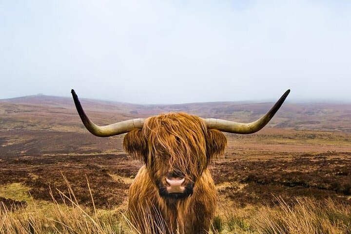 2-Day West Highlands Tour: Oban, Glencoe & Glenfinnan from Edinburgh photo 5