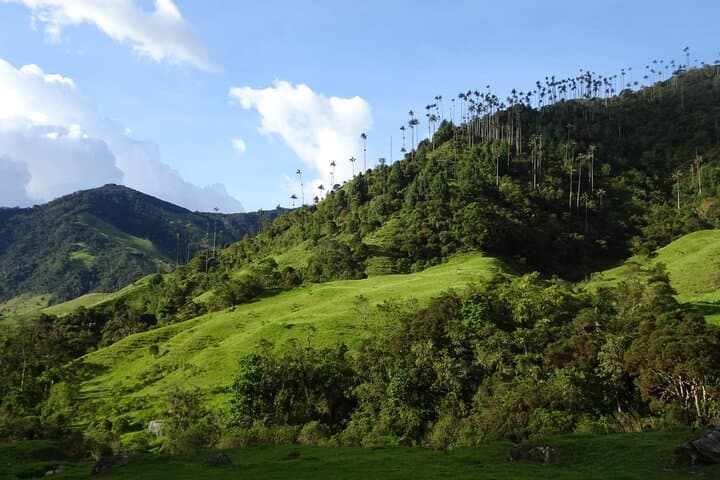 Three-Day Private Andes Crossing: Los Nevados High-Altitude Trek photo 6