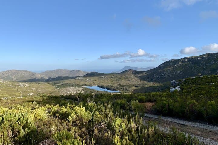 Tokai MTB Trail Ride: 3-Hour Private Guided Mountain Biking in Cape Town photo 5