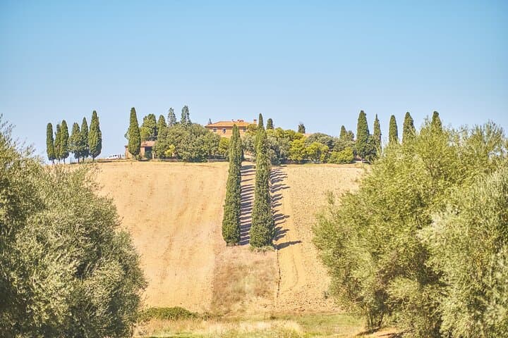 Private Val d'Orcia Tour: Montalcino, Pienza & Montepulciano Day Trip from Florence photo 5