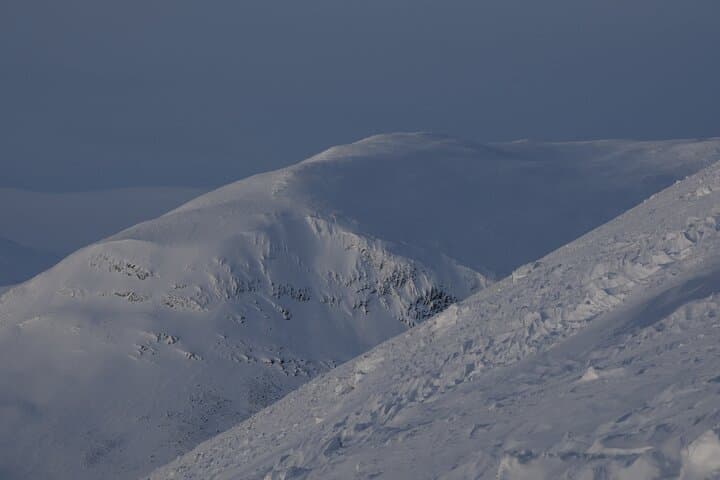 Ski Touring in Ammarnäs: Guided Day Tours in Vindelfjällen Nature Reserve photo 2