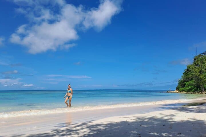 Stingray City Antigua: Devil's Bridge & Long Bay Half-Day Marine Tour photo 6