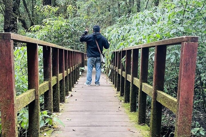 9-Hour Inthanon Nature Tour from Chiang Mai: Doi Inthanon Day Trip photo 4