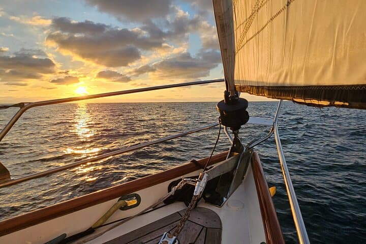 Oceanside Yacht Sailing: Whale & Dolphin Watching Aboard a 45' Teak Yacht