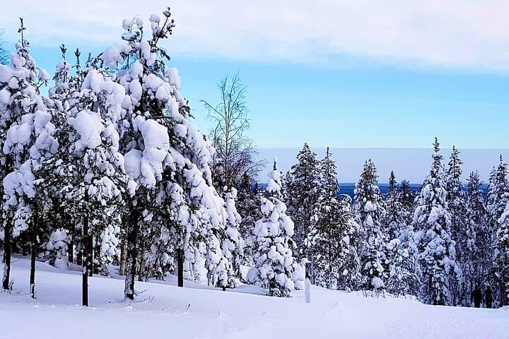 Snowshoe Hike in Rovaniemi: Lapland Winter Wilderness Experience photo 3