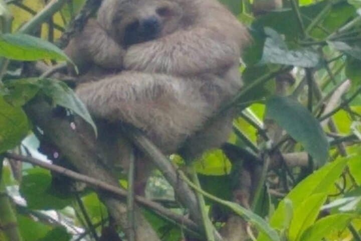 Five-in-One Nature and Wildlife Day Trip from Liberia