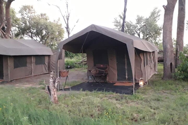 Okavango Delta Northern Explorer — 11-Day Private Safari from Maun photo 2