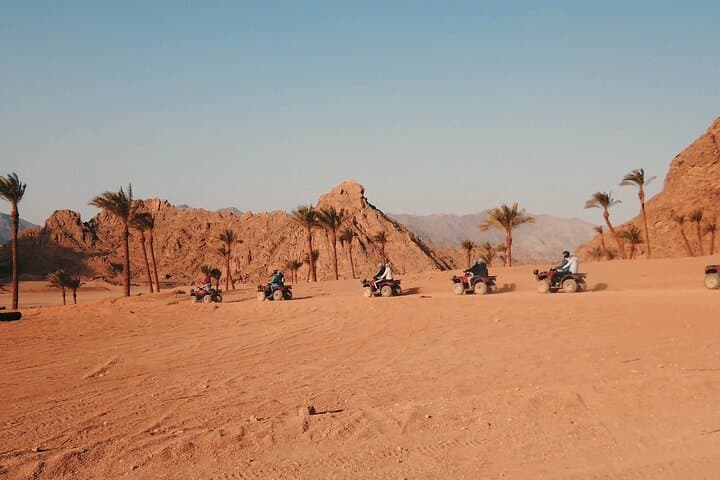 ATV Quad and Camel Ride to Echo Mountain, Sharm El Sheikh photo 6