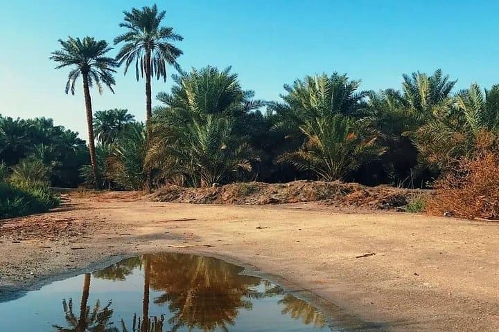 Explore Al Ahsa Oasis: Private Full-Day Tour to Al-Qarah, Qaisariah Souq & Qasr Ibrahim