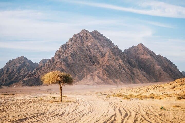 Sinai Desert Family Buggy Adventure from Sharm El Sheikh photo 2