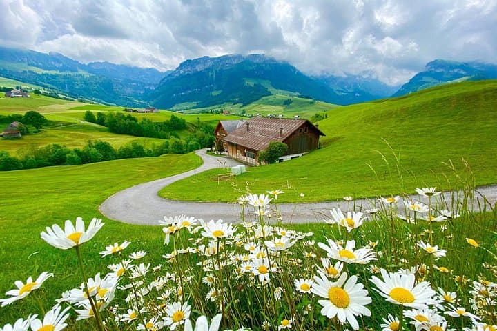 Private Swiss Farm & Appenzell Alps Day Tour from Zurich photo 1