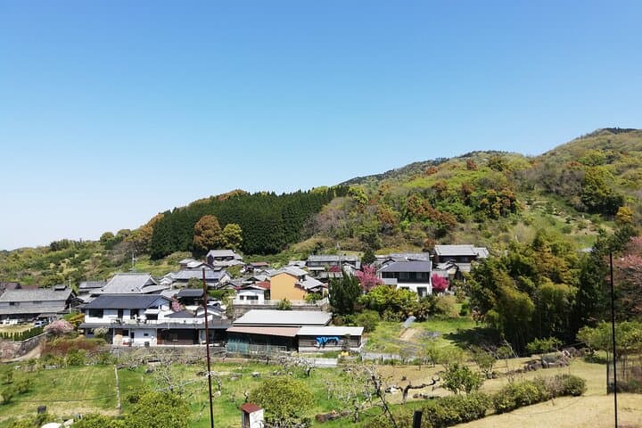 Pedal and Stroll Ancient Nara: Asuka Cycling and Walking Tour photo 2