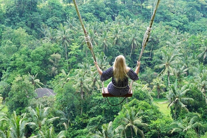 Ubud Jungle Swing, Monkey Forest & Tegenungan Waterfall Private Tour photo 2