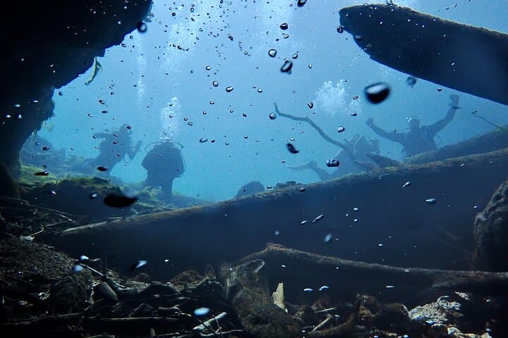 Snorkel and Dive the Rainbow River: Crystal River Drift Experience photo 6