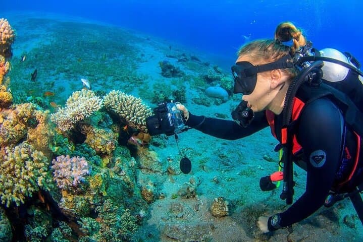 Hurghada Red Sea Full-Day Scuba Diving with Lunch photo 3