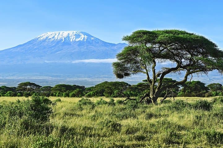 Marangu Day Hike to Kilimanjaro Base: Culture, Forest Trails & Views photo 3