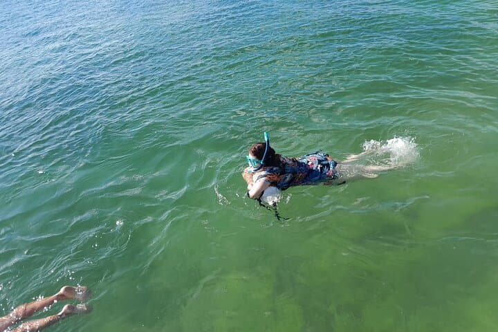 Miami Snorkel Adventure & Sandbar Trip in Biscayne Bay photo 5