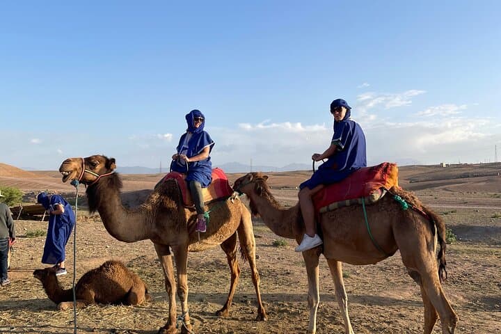 Agafay Desert Sunset Experience — Camel Ride, Quad Bike & Berber Dinner from Marrakech photo 4