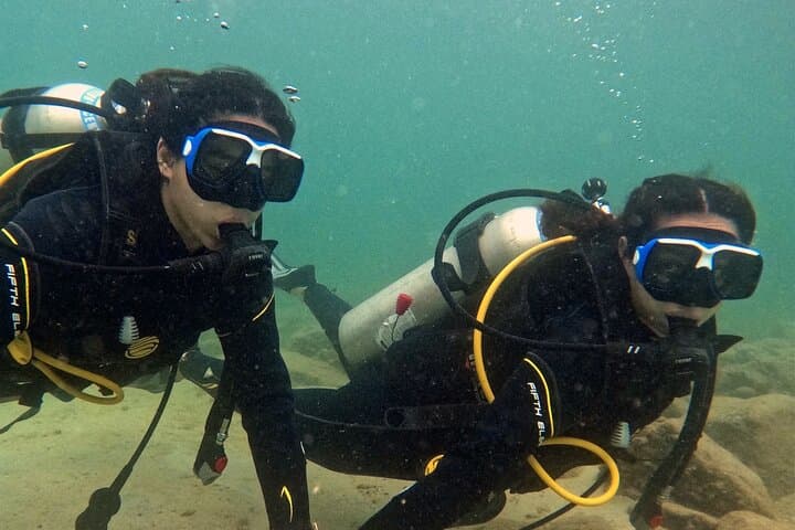 Boat Try Scuba Diving Tour at La Mer Beach — Beginner Scuba Experience in Dubai photo 5