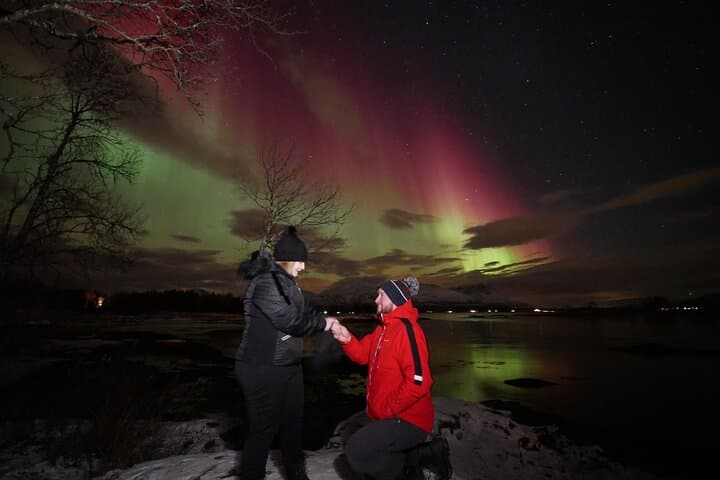 Chase the Northern Lights: Watching the Aurora Dance in Tromsø
