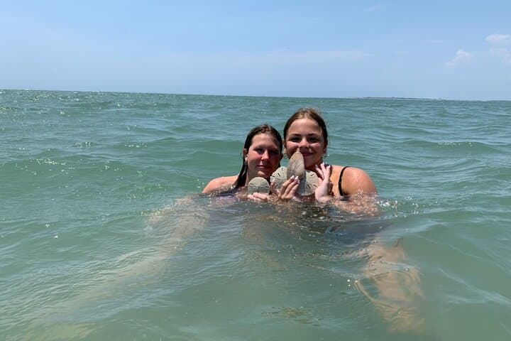 Crystal Coast Coastal Excursion: Sunset Cruises, Shelling & Wild Horses photo 3