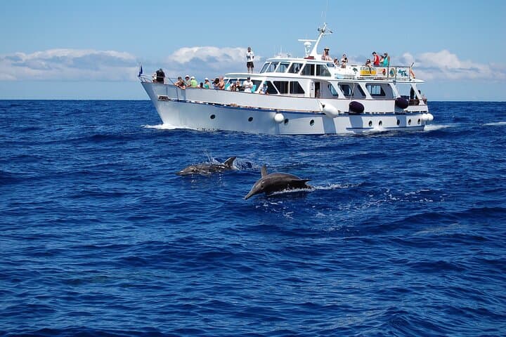 Vintage Boat Whale‑Watching Excursion from Valle Gran Rey, La Gomera photo 2