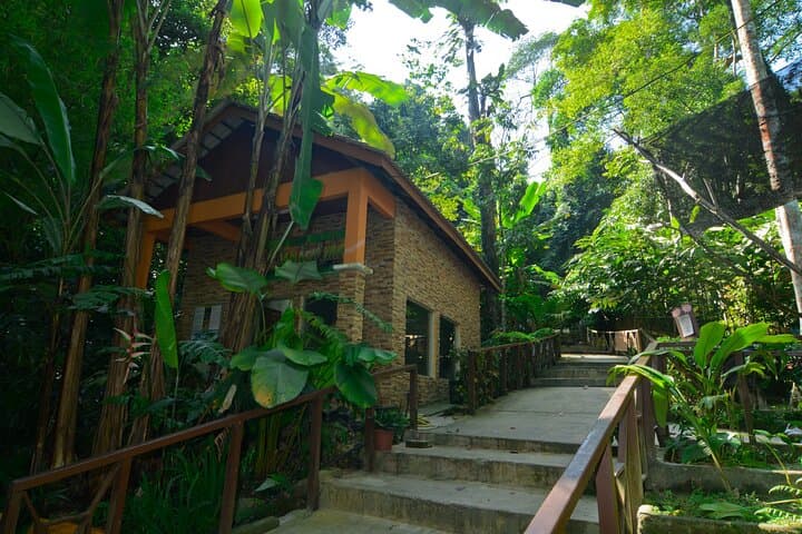 Taman Negara: 2-Day Small-Group Rainforest Adventure from Kuala Lumpur photo 6