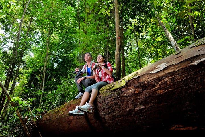 Taman Negara: 2-Day Small-Group Rainforest Adventure from Kuala Lumpur photo 4